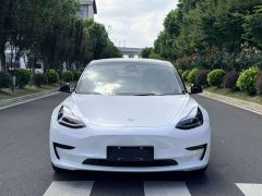 Tesla Model 3 Standard Range Edition 3D6 - ფოტო 3