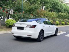 Tesla Model 3 Standard Range Edition 3D6 - ფოტო 4
