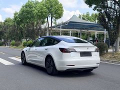 Tesla Model 3 Standard Range Edition 3D6 - ფოტო 5