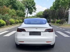 Tesla Model 3 Standard Range Edition 3D6 - ფოტო 6