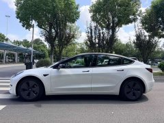 Tesla Model 3 Standard Range Edition 3D6 - ფოტო 7