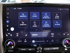 BMW 2.5L Edition - ფოტო 9