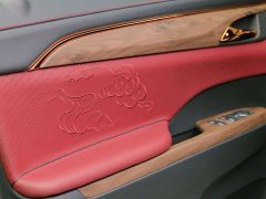Buick GL8 Smart Edition - ფოტო 13