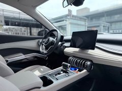 BYD PLUS Edition 430KM Version - ფოტო 13