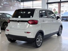Leapmotor T03 400Luxury Edition - ფოტო 4