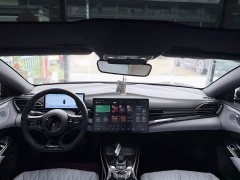 BYD 550km Standard Range EditionPremium Version - ფოტო 10