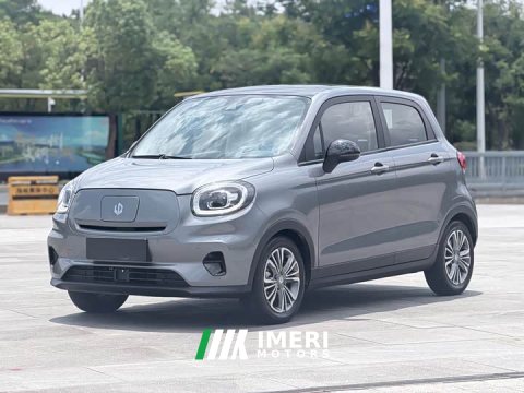 2021 Leapmotor T03 400Luxury Edition - ავტომობილი ჩინეთიდან