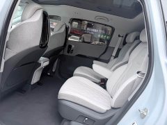 BYD EditionPro - ფოტო 8