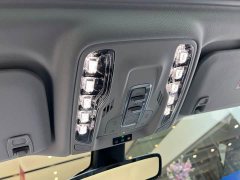 Buick GL8 Deluxe Edition - ფოტო 17