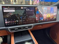 Li Auto L9 Max - ფოტო 16