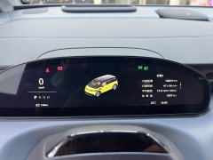 Zeekr MIX Smart Drive Edition - ფოტო 18