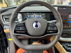 Denza D9 DM-i 980 AWDPremium Version - ფოტო 13