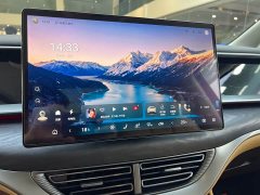 Denza D9 DM-i 980 AWDPremium Version - ფოტო 15