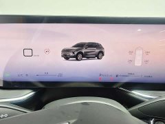 BYD S 25T Edition - ფოტო 16