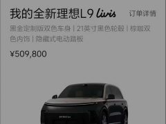 Li Auto L9 Livis - ფოტო 2