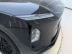 Nio ES8 Luxury Edition - ფოტო 8