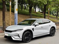 BYD L EV Smart Drive Edition 550km Version - ფოტო 1