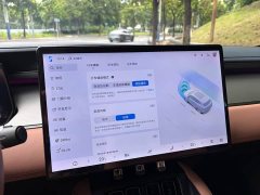 BYD L EV Smart Drive Edition 550km Version - ფოტო 14