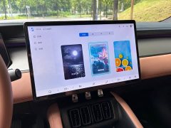 BYD L EV Smart Drive Edition 550km Version - ფოტო 15