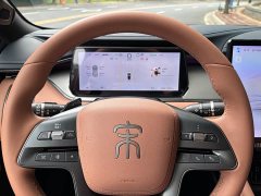 BYD L EV Smart Drive Edition 550km Version - ფოტო 19