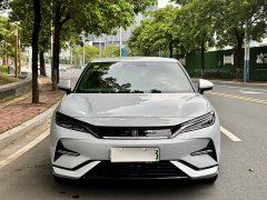 BYD L EV Smart Drive Edition 550km Version - ფოტო 3