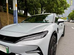 BYD L EV Smart Drive Edition 550km Version - ფოტო 5
