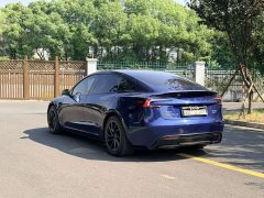 Tesla Model 3 Performance Edition - ფოტო 6