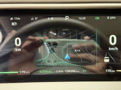 Denza D9 DM-i 970 AWD Version - ფოტო 14