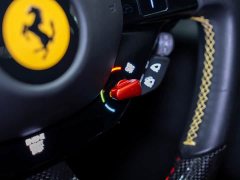 Roma 3.9T V8 - ფოტო 13