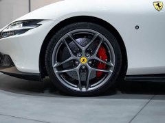 Roma 3.9T V8 - ფოტო 8