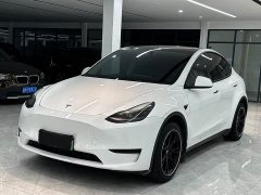 Tesla Model Y Edition - ფოტო 1