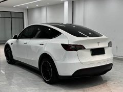 Tesla Model Y Edition - ფოტო 16
