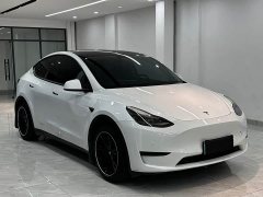 Tesla Model Y Edition - ფოტო 3