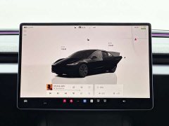 Tesla Model 3 Edition - ფოტო 14