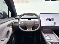 Nio L60 60kWh Edition - ფოტო 12