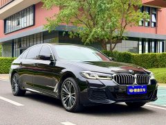 BMW 5 530Li Version M - ფოტო 3