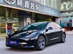 Tesla Model 3 Standard Range Edition 3D6 - ფოტო 1