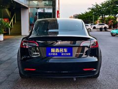 Tesla Model 3 Standard Range Edition 3D6 - ფოტო 8