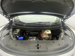 Denza D9 DM-i 980 AWD Version - ფოტო 12