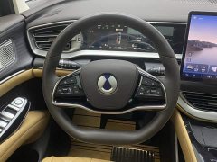 Denza D9 DM-i 980 AWD Version - ფოტო 14