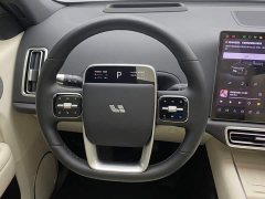 Li Auto L6 Max - ფოტო 14