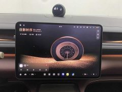 Nio ES8 Luxury Edition - ფოტო 15