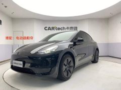 Tesla Model Y Edition - ფოტო 1
