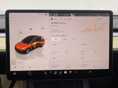Tesla Model Y Edition - ფოტო 14