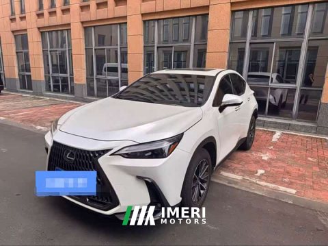 2023 Lexus NX 260 Edition - ავტომობილი ჩინეთიდან