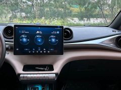 Changan 420km Fashion Edition - ფოტო 6