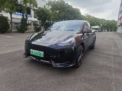 Tesla Model Y Edition - ფოტო 1