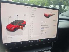 Tesla Model Y Edition - ფოტო 14