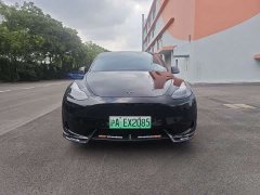 Tesla Model Y Edition - ფოტო 2