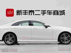 Mercedes-Benz CLS 300 Version - ფოტო 3